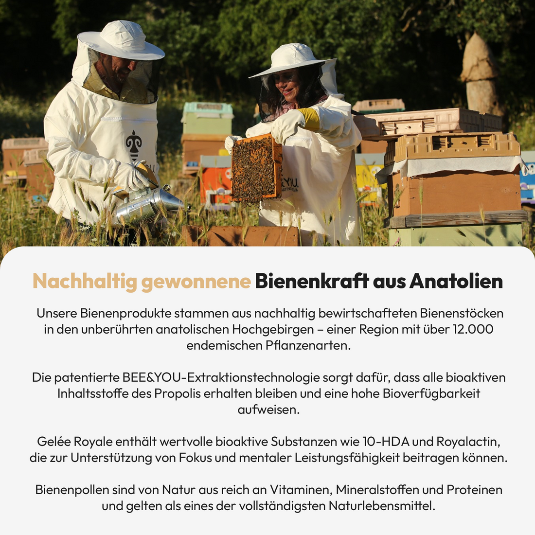 Tabletten mit Gelée Royale, Propolis und Bienengift