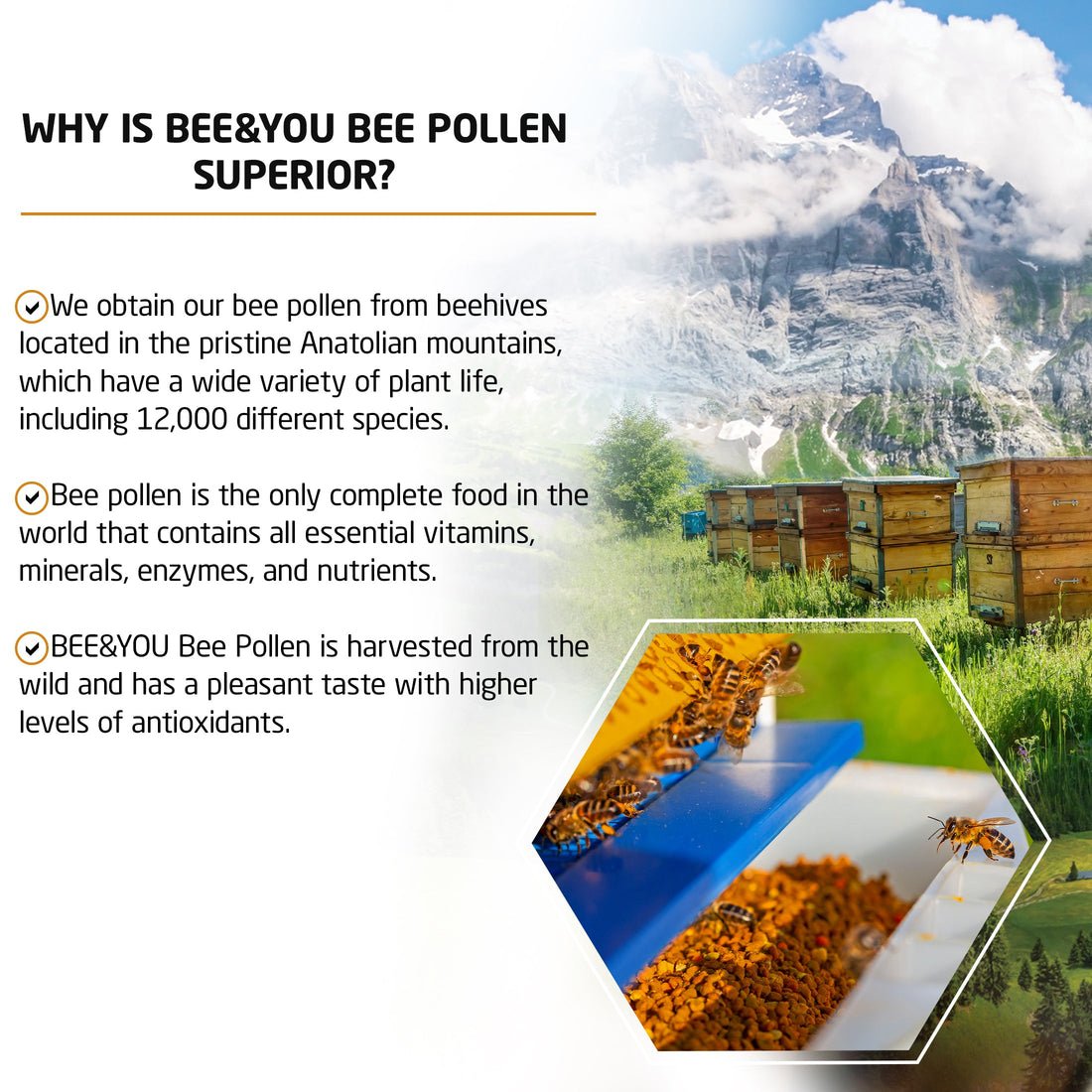 Bee Pollen