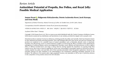 Antioxidant Potential of Bee Products