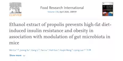 Effects of Propolis on Obesity and Insulin Sensitivity