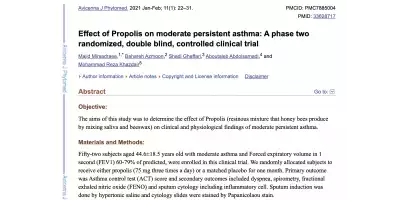 Positive Effects of Propolis on Asthma